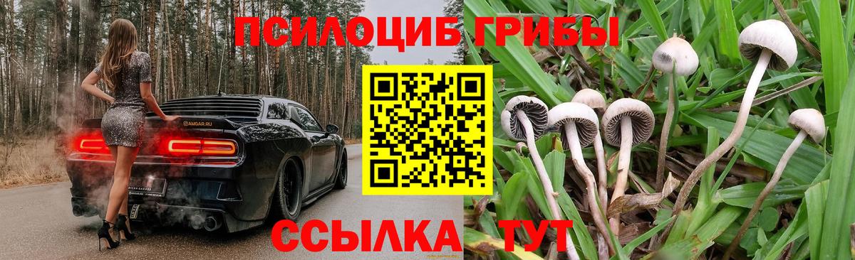 Псилоцибиновые грибы GOLDEN TEACHER  Вход с VPN  где купить наркотик  Берёзовский 